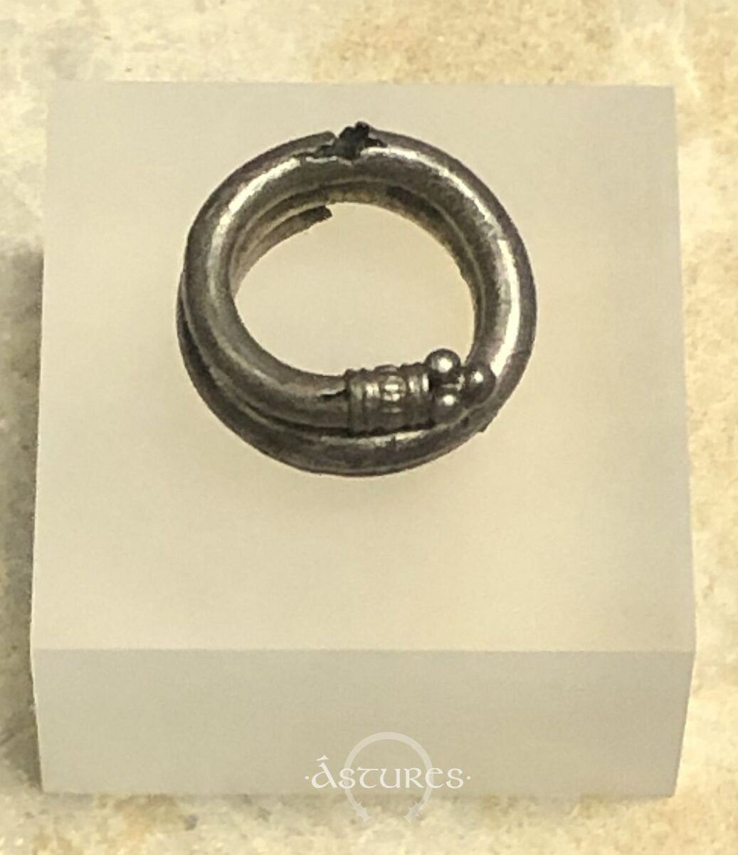 Una pieza del museo de León catalogada como recogedor de pelo.