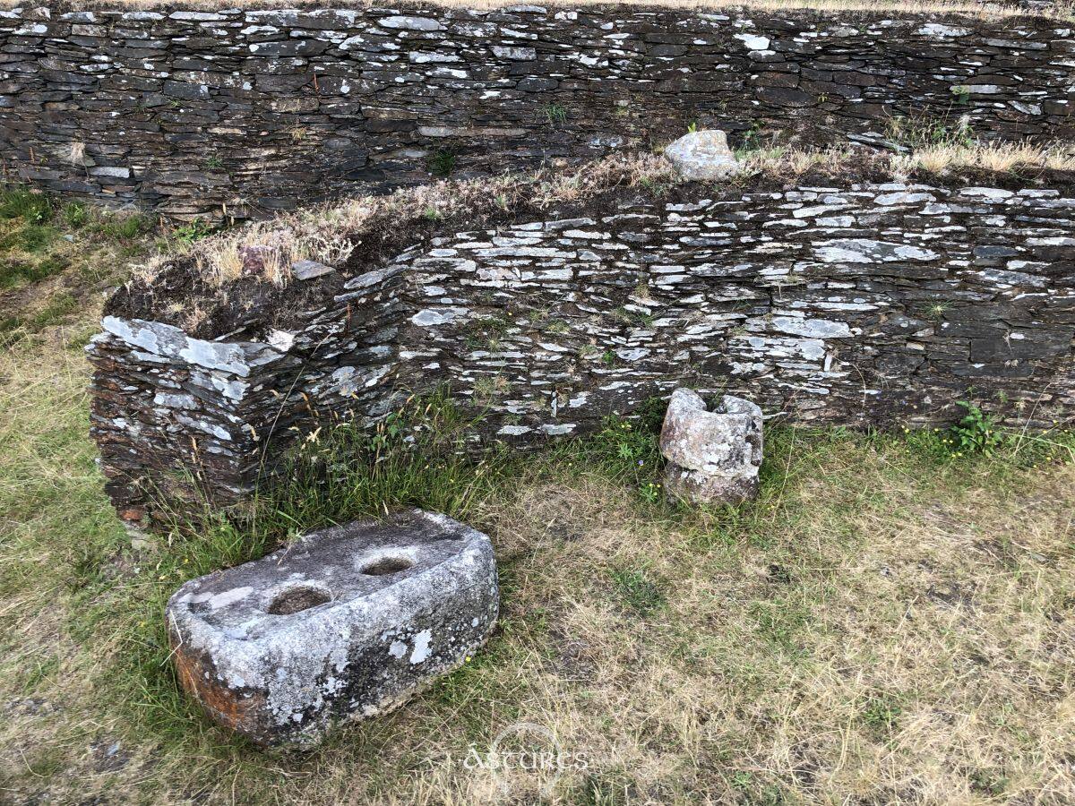 Molino barquiforme, molino rotatorio y piedra de cazoletas. Coaña, 2026