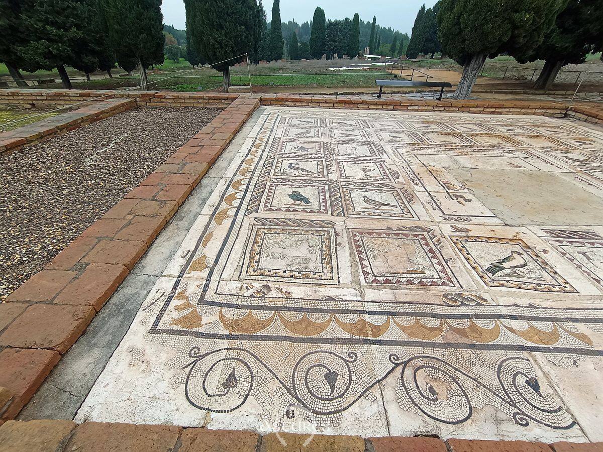 Mosaico de la casa de los Pájaros de Itálica.