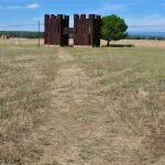 DSC 1157