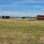 DSC 1165