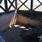 DSC 1174