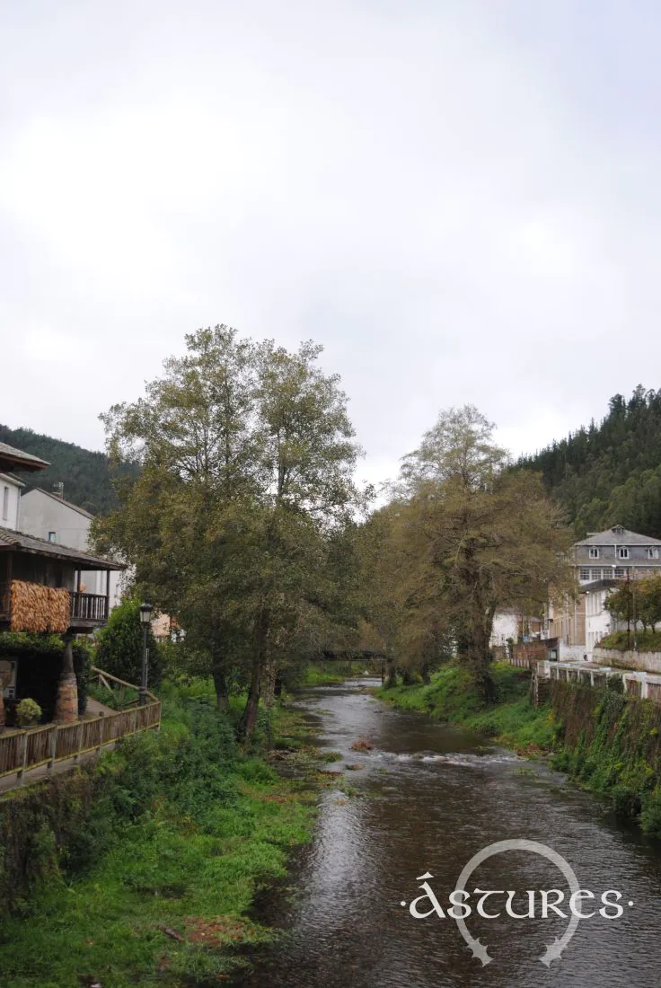 Navelgas. Tineo