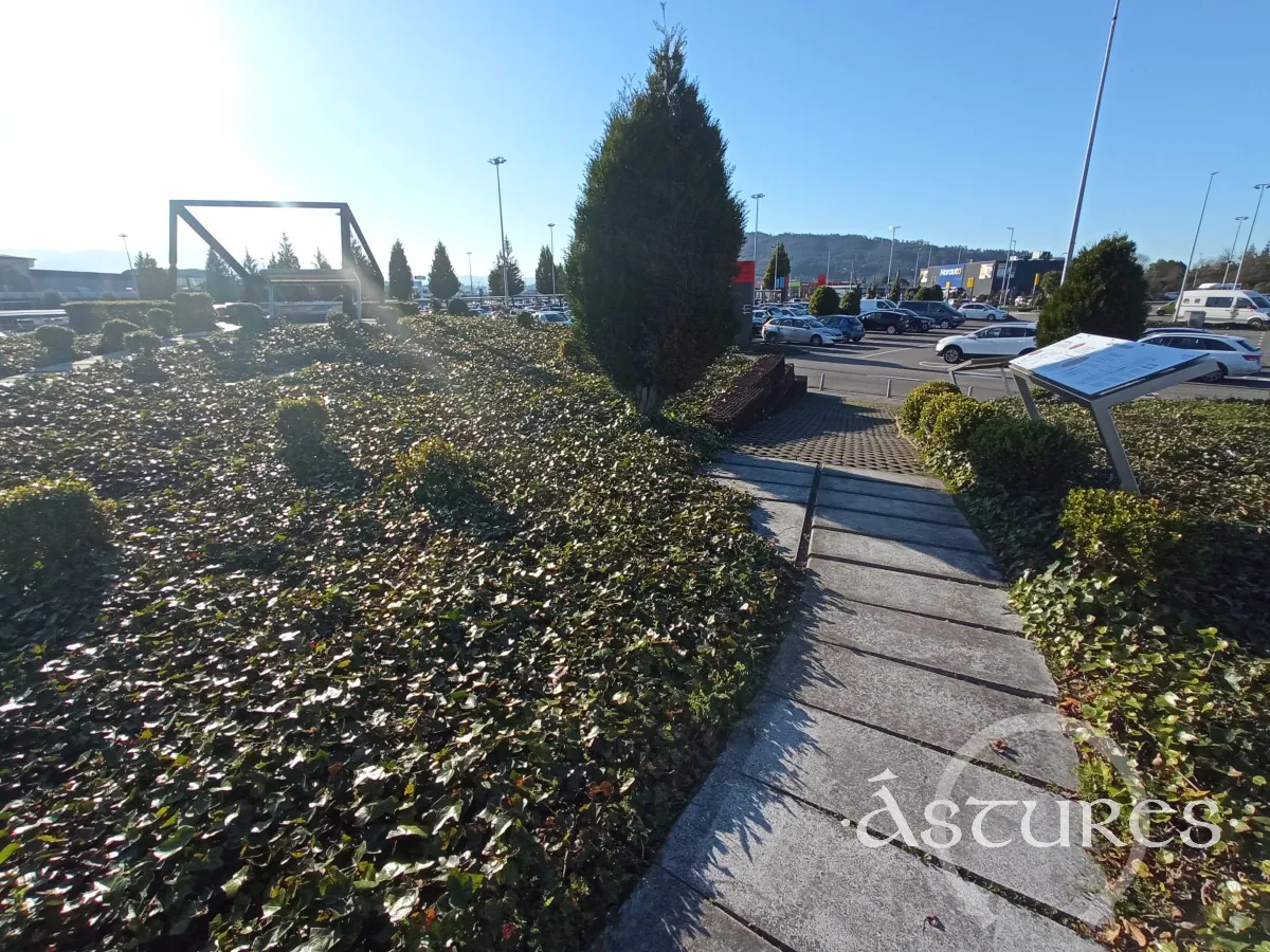 Acceso a la musealización de la necrópolis de Paredes, Siero. Parque Principado