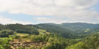 Castro de Coaña. 2022