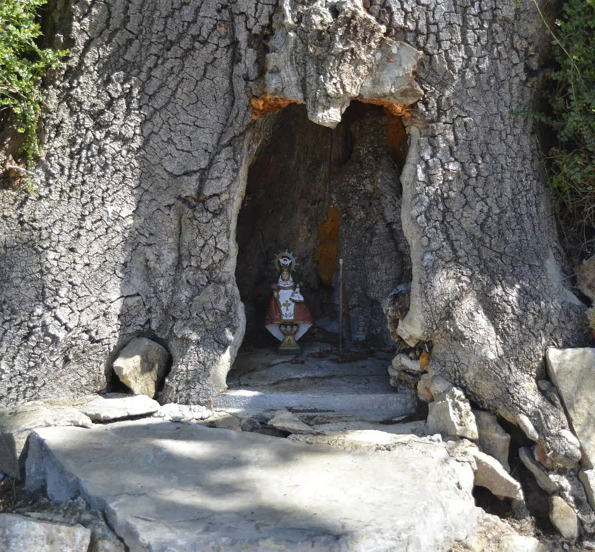 La virgen de Covadonga en un pequeño altar dentro de un fresno en un cruce de caminos. Asturias