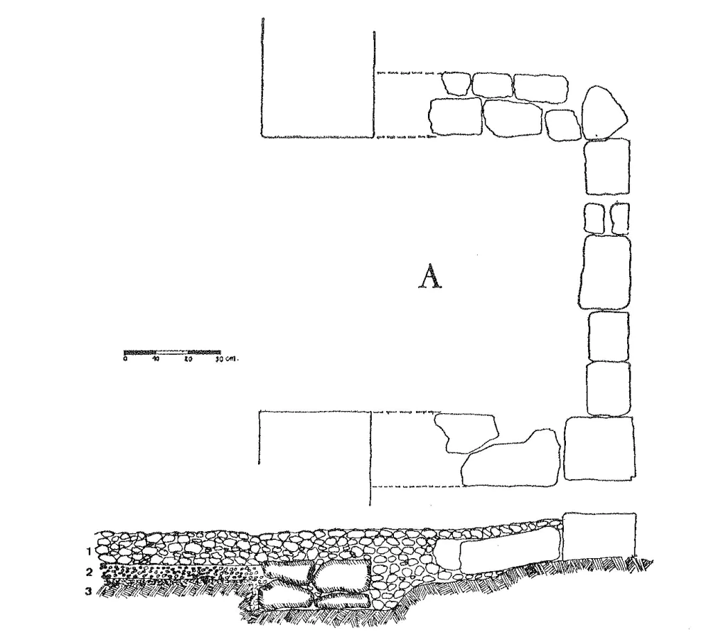Planta de la entrada de la villa de murias de Paraxuga. J. Bellón