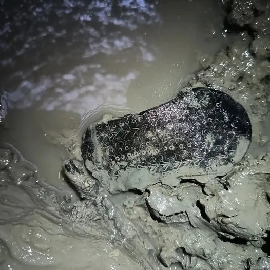Suela de calzado romano con decoración preservada en el fondo del pozo debido a la falta de oxígeno en el fango. Foto Esperanza Martín