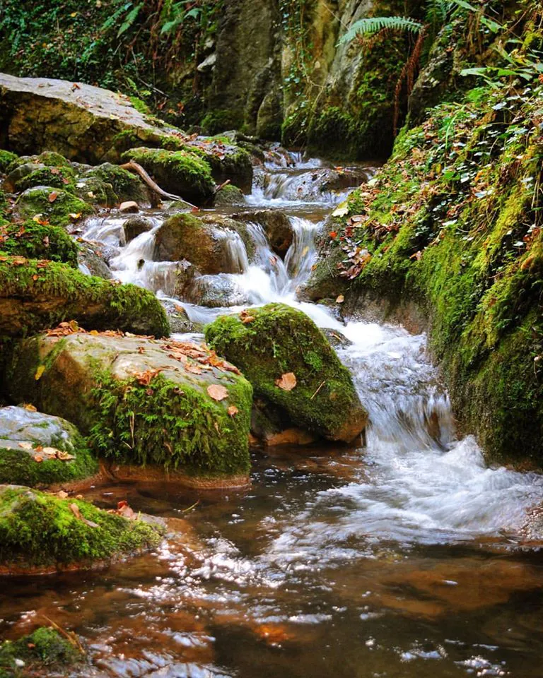 Desfiladero de las Xanas. Foto Astures.es