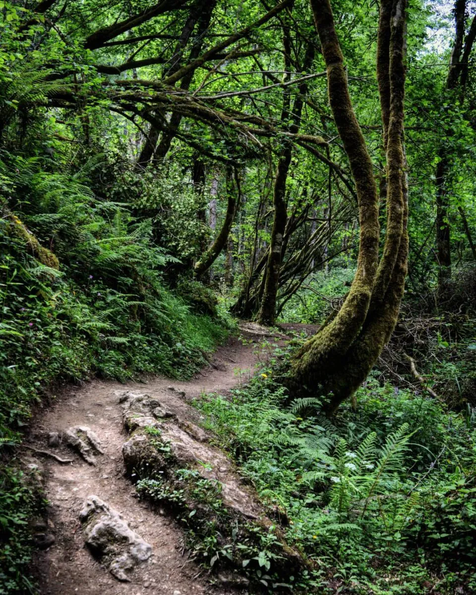 Es una ruta donde la naturaleza se impone, y disfrutas cada rincón del paisaje.