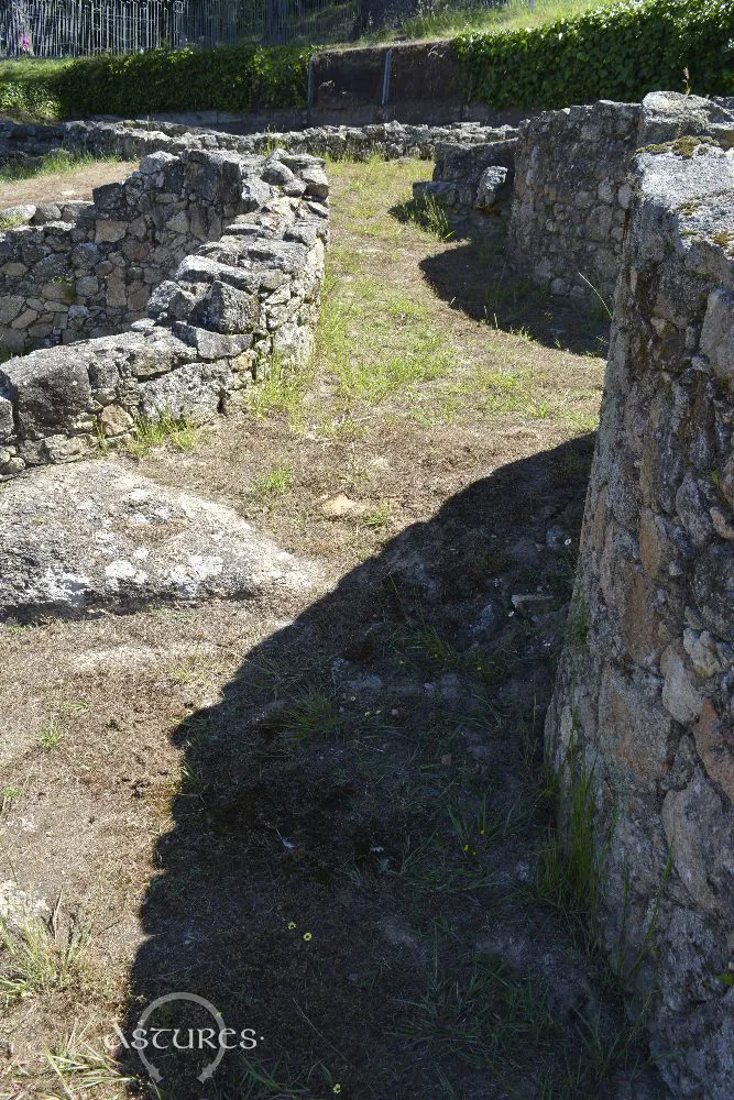 Castro de Vigo. Arquitectura