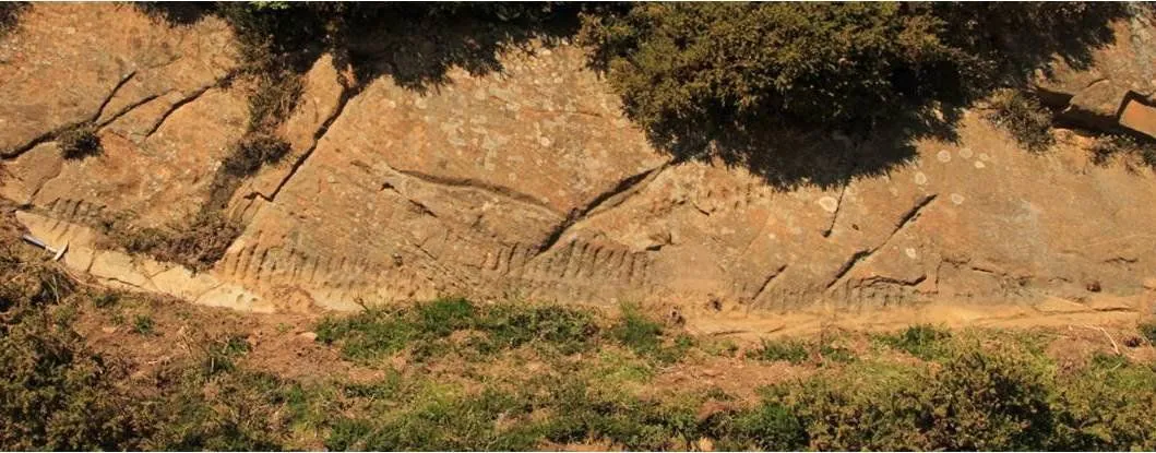 Uno de los petroglifos más conocidos de la Carisa es este de Serralba. Foto alentín Álvarez Martínez, Alejandro García Álvarez-Busto y Juan E. Ramos López