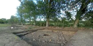 Lucus Asturum. Excavación 2023