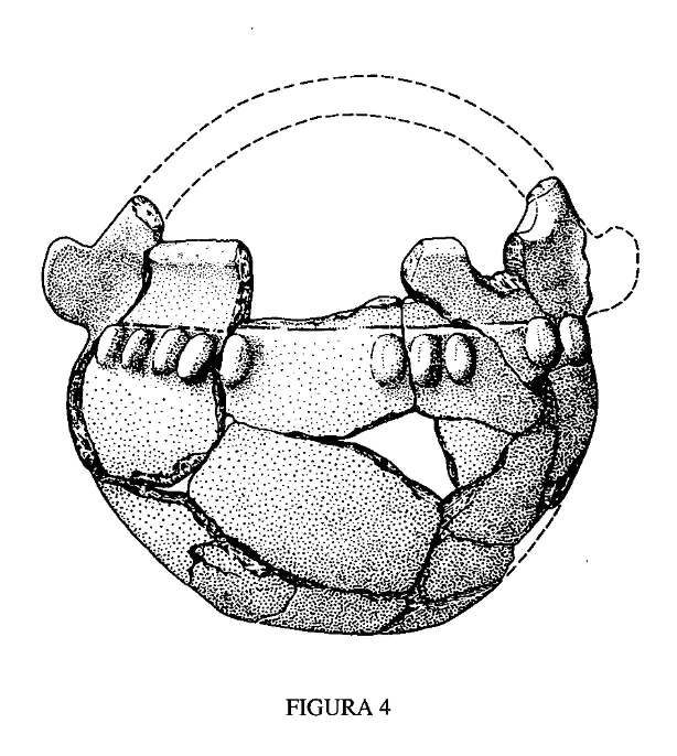 Olla "celtiberica" de Moriyón. Maya