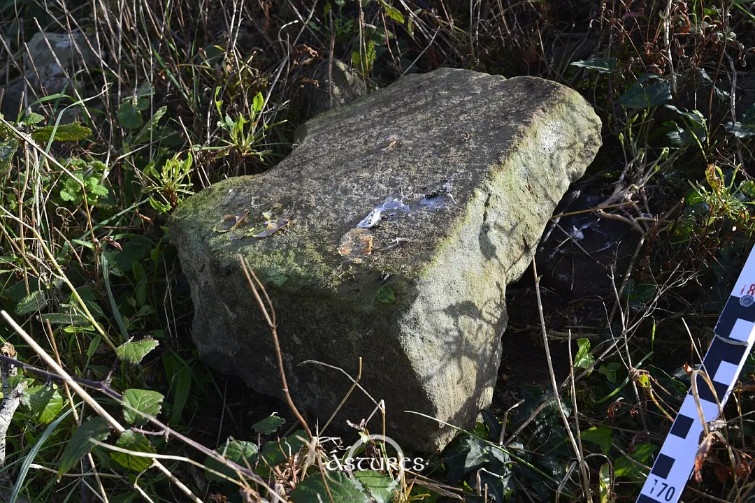 Molino barquiforme o de vaivén. Asturias