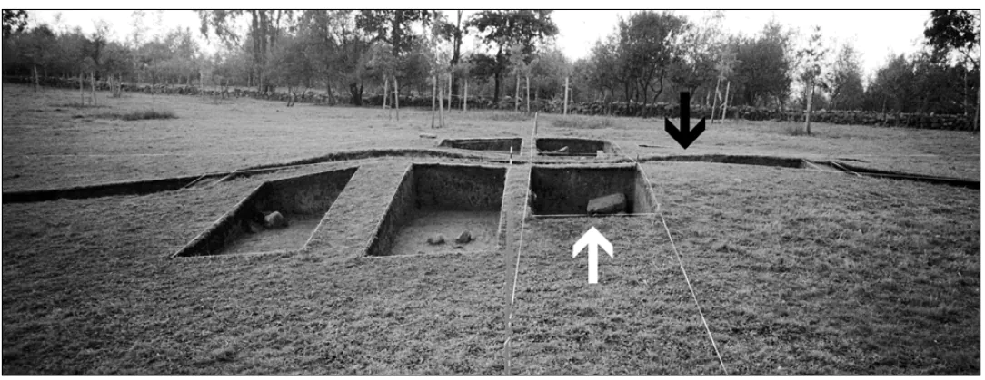 Deva V durante las excavaciones de 1999. M. A. de Blas Cortina