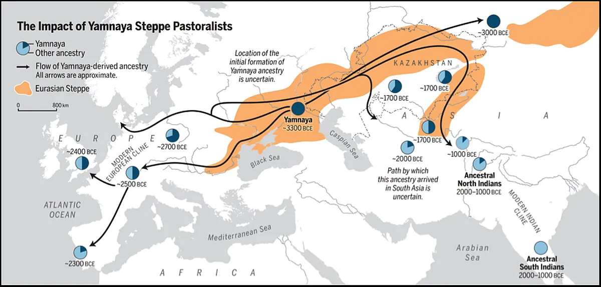 Impacto de las migraciones de los pueblos Yamnaya./Oliver Uberti y Science