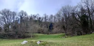 Una de las terrazas del Castichu de Tiós. Foto A. Fanjul Peraza.