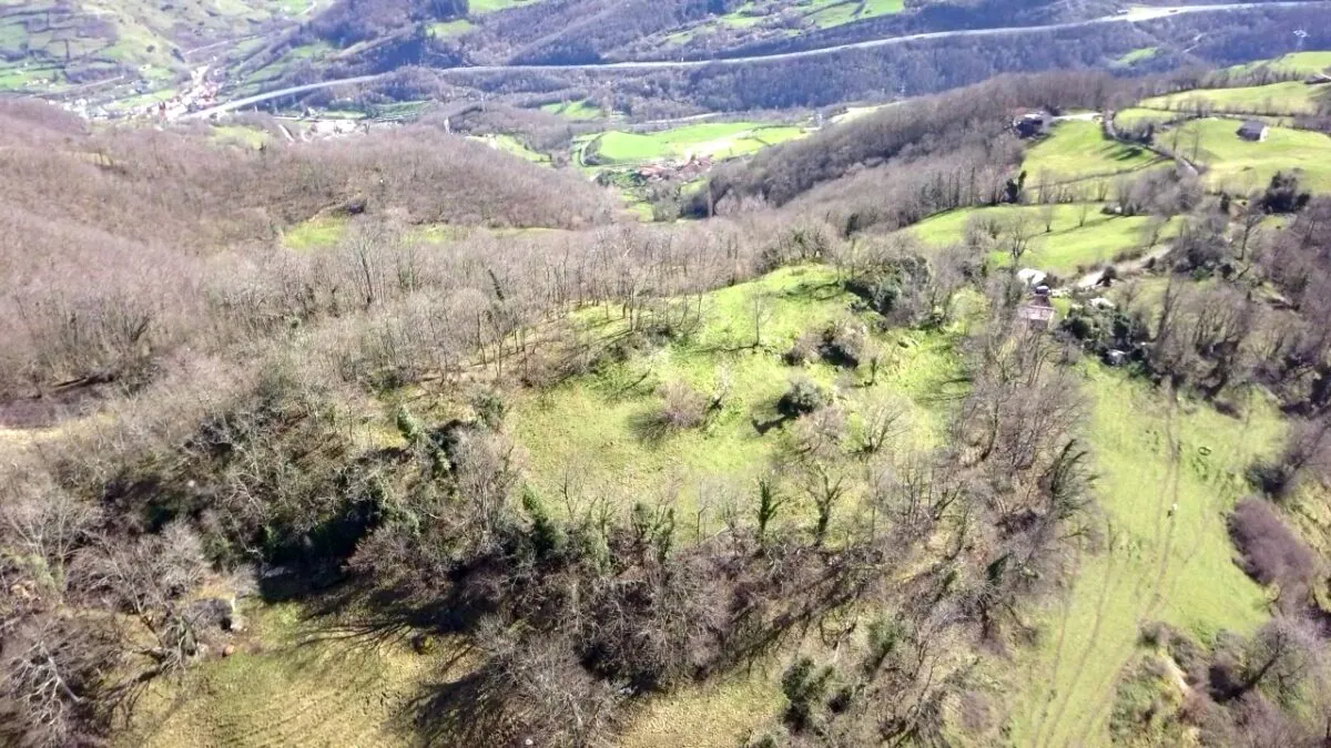 Castichu de Tiós, Lena. Foto: A. Fanjul Peraza.