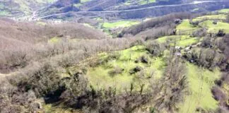 Castichu de Tiós, Lena. Foto: A. Fanjul Peraza.