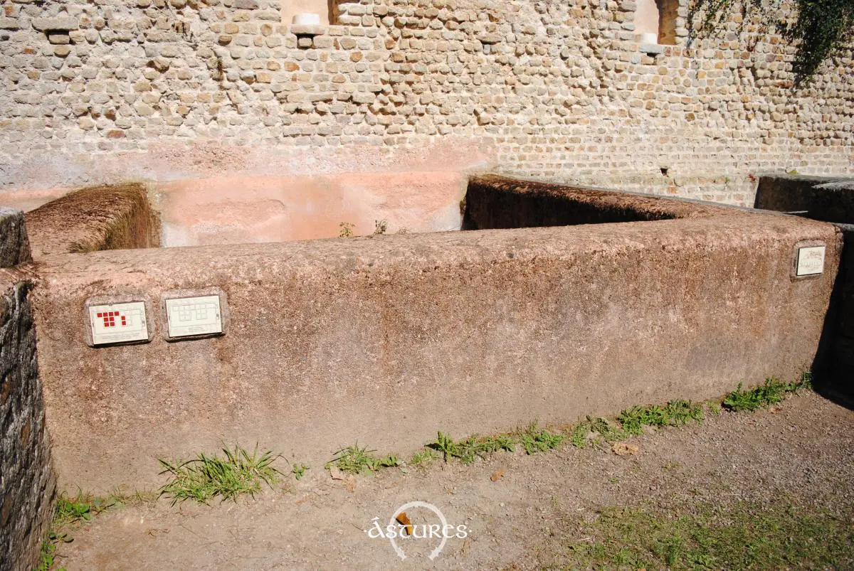 Uno de los depósitos donde se fabricaban salazones y garum.