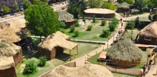 Campamento astur. Fiestas de Astures y romanos. Foto de la organización