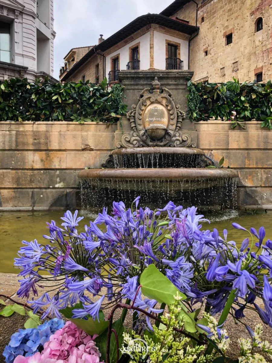 Enramado de la fuente de la catedral de Oviedo / Uviéu, San Juan 2025