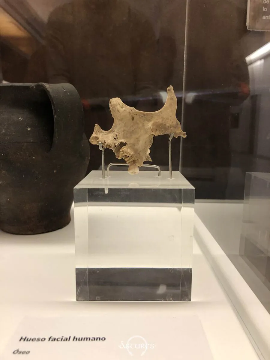 Mandíbula de uno de los individuos de la Peña Sobia en Teverga. Siglo II d.C.