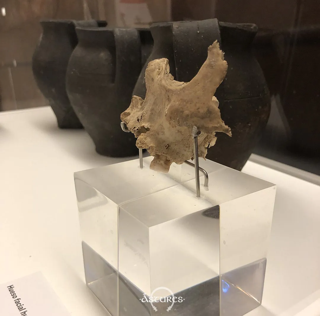 Mandíbula de uno de los individuos de la Peña Sobia en Teverga. Siglo II d.C.