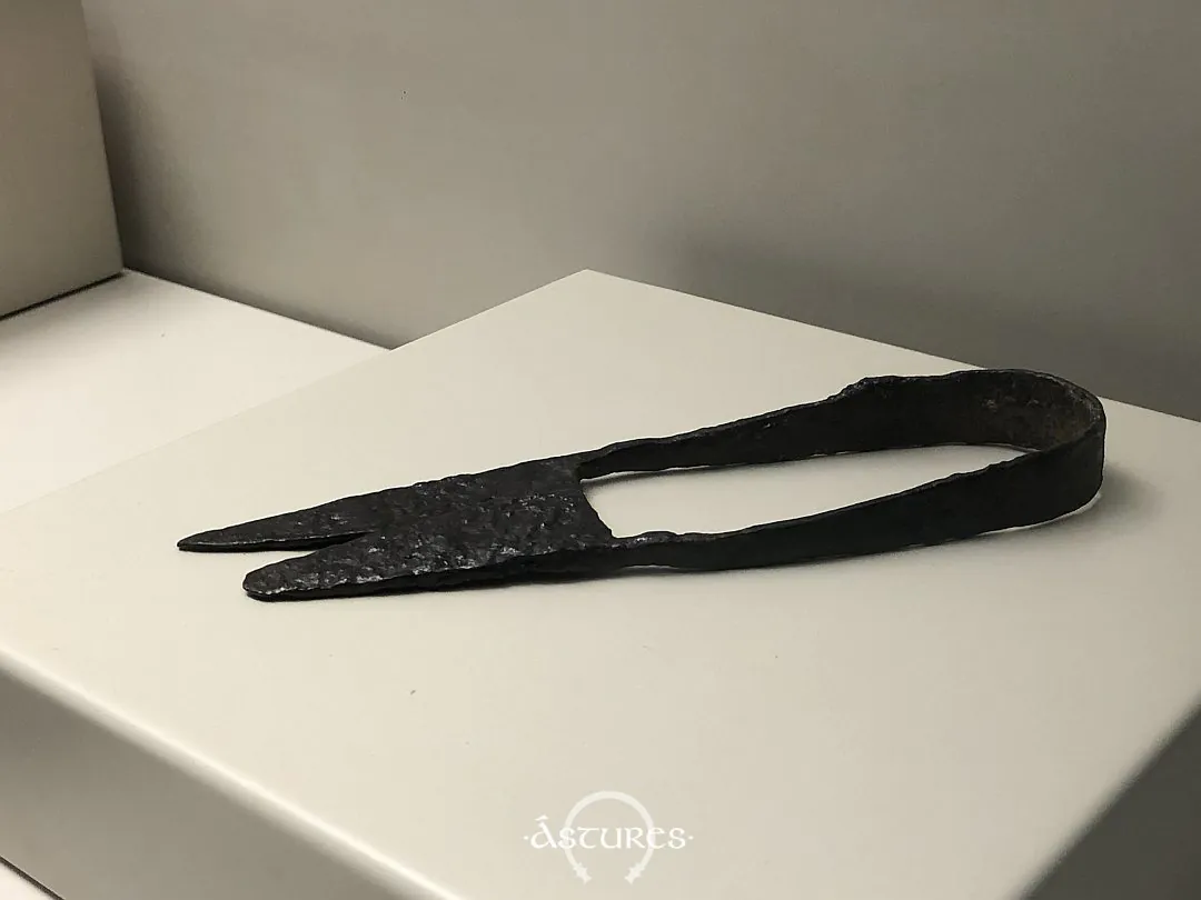 Tijeras procedentes de la necrópolis de Paredes, Siero. Museo arqueológico de Asturias
