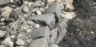Detalle de los grandes cantos de río careados para formar la pared exterior (interna respecto al castro) de la muralla. Antrialgo 2025