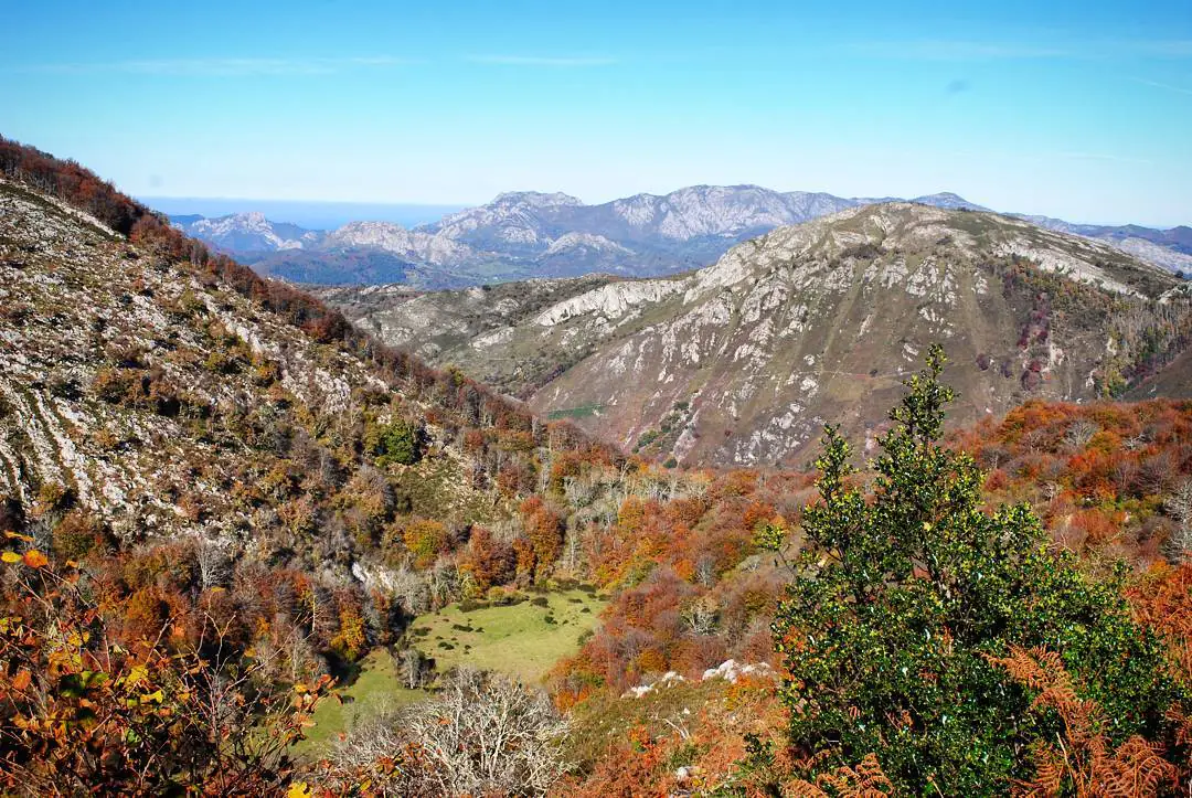 La vega de Orandi, en el Auseva. Foto propia