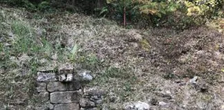 Fuente del Acebal, Abándames