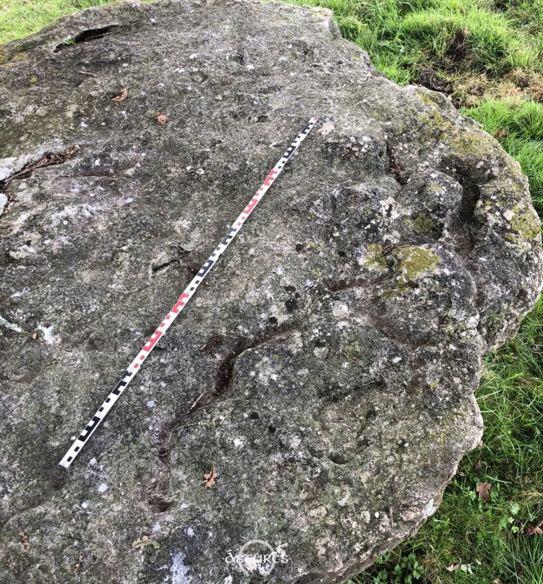 Posible serpentiforme y otros grabados en dolmen del oriente de Asturias. No estaban documentados hasta hace unas semanas. Notificados.