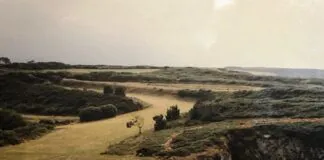 Castro de El Esteiro en 1993