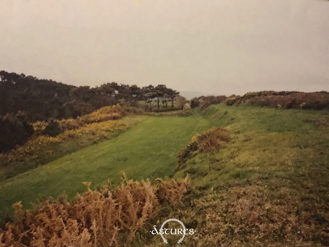 Terrazas del castro de El Esteiro en 1993