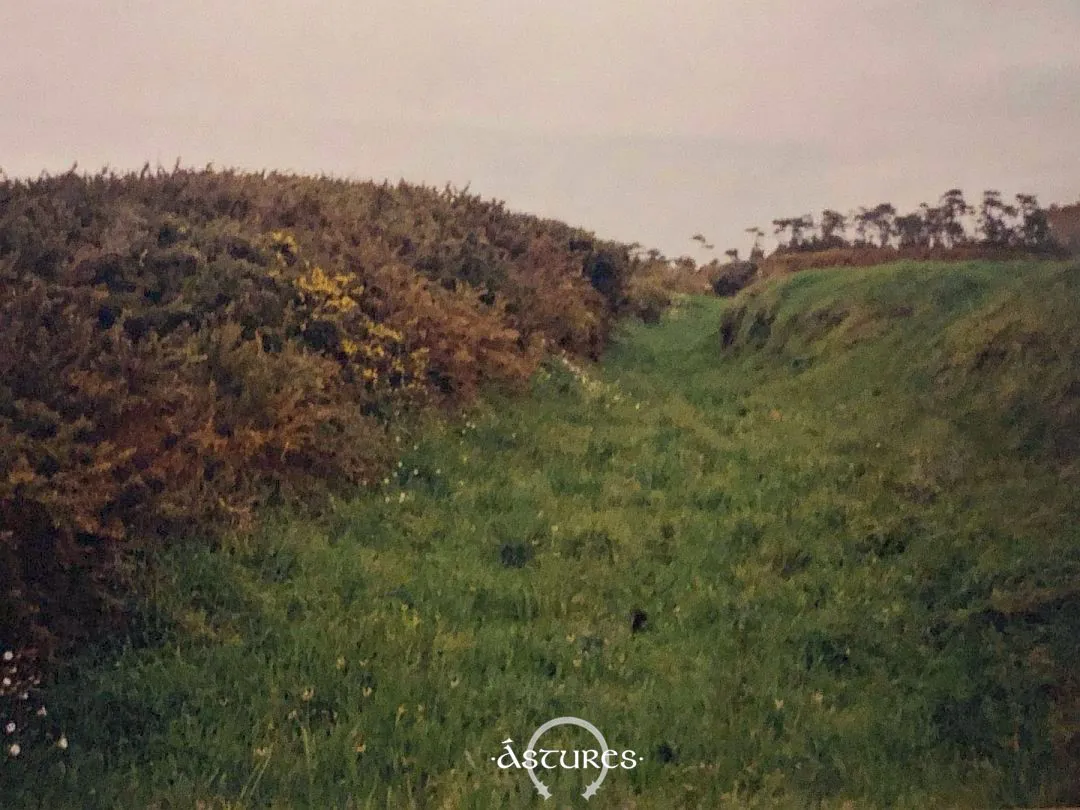 Castro de El Esteiro en 1993