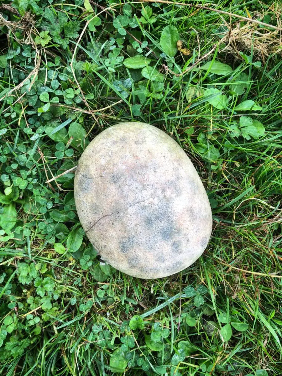 Canto pintado de tipo aziliense procedente de El Trabe. Asturias.