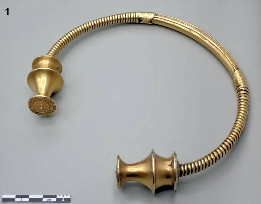 Torques de Langreo IVDJ 7023, Fotografía de Óscar García-Vuelta