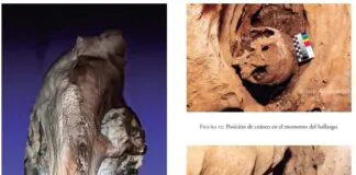 El cráneo de Les Pedroses, Ribadesella. Un anciano de entre los siglos VIII y VI a.C. Composición de los autores.